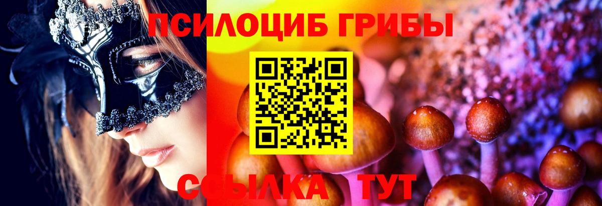 Псилоцибиновые грибы Psilocybe Лянтор